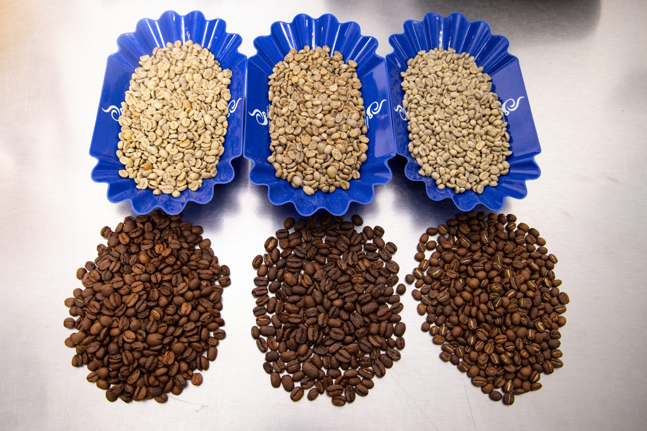 Meet Kevin Herrell of Vantage Coffee Roasters/Higher Ground Coffee Co