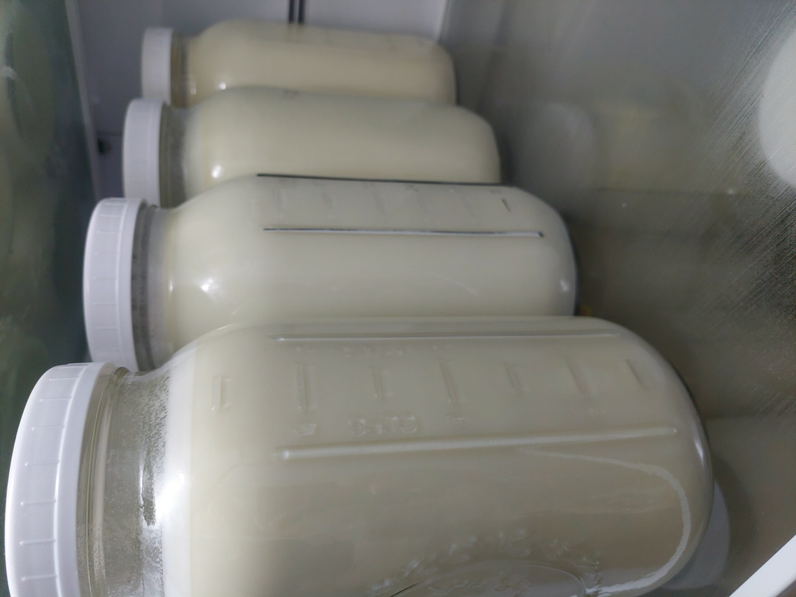 Six white bottles with white caps arranged horizontally inside a refrigerator, viewed from the side.
