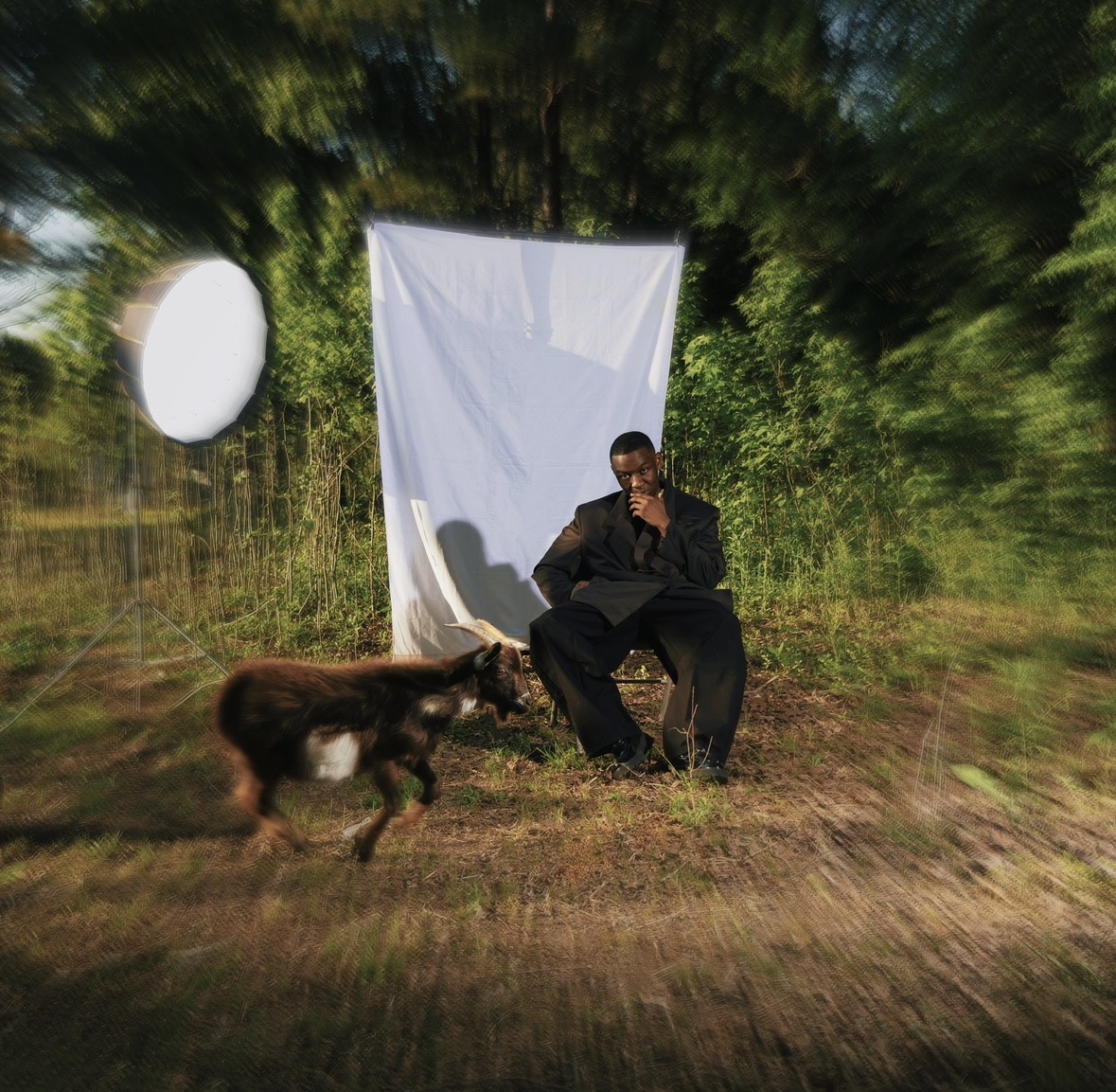 Person sitting in front of a white backdrop outdoors with a dog nearby, surrounded by trees and greenery.