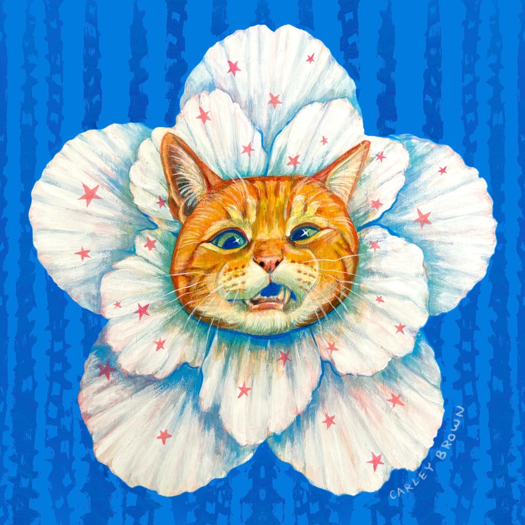 A cat's face surrounded by white flower petals with pink stars, set against a blue background.