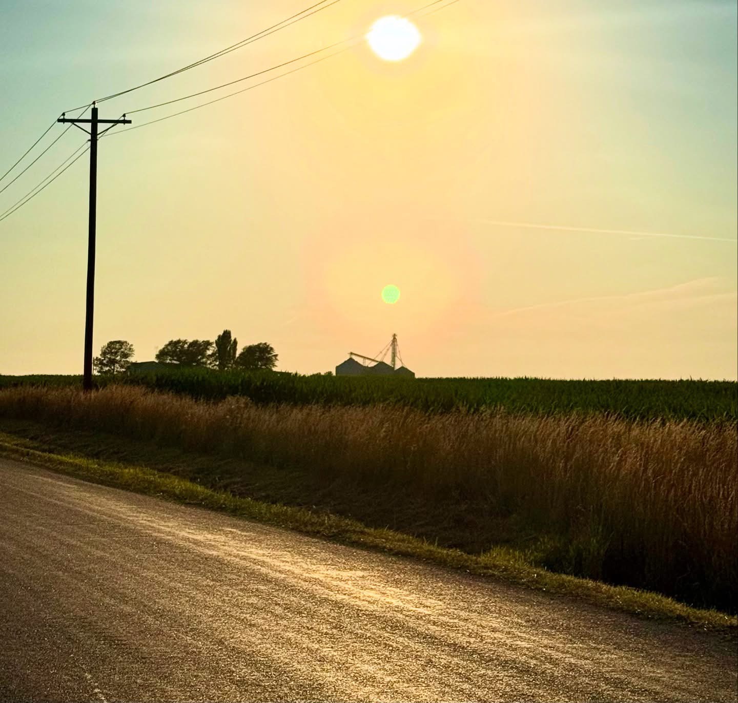 Sunlit rural scene with power lines, a house, and a grassy field, under a bright sky with lens flare.