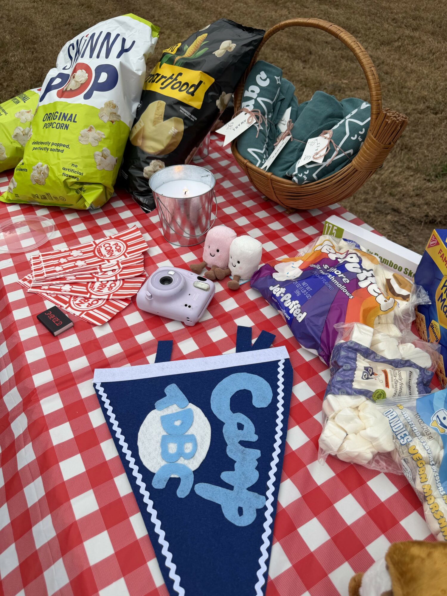 Picnic setup with snacks, drinks, a camera, and a pennant on a red and white checkered tablecloth outdoors.